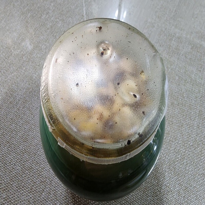 사랑담은꿀,꿀,하트벌집꿀,약꿀벌집내린꿀,아카시아완숙꿀,숙성꿀,완숙꿀,벌집,벌집꿀,약꿀,완숙꿀생산,꿀차,꿀물,꿀선물,자연산꿀,자연산벌꿀,선물용으로좋은,토종꿀,유기병꿀,설악산꿀,설악산벌꾼